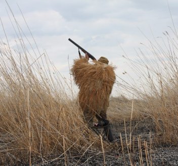 сроки открытия охоты в ленинградской области