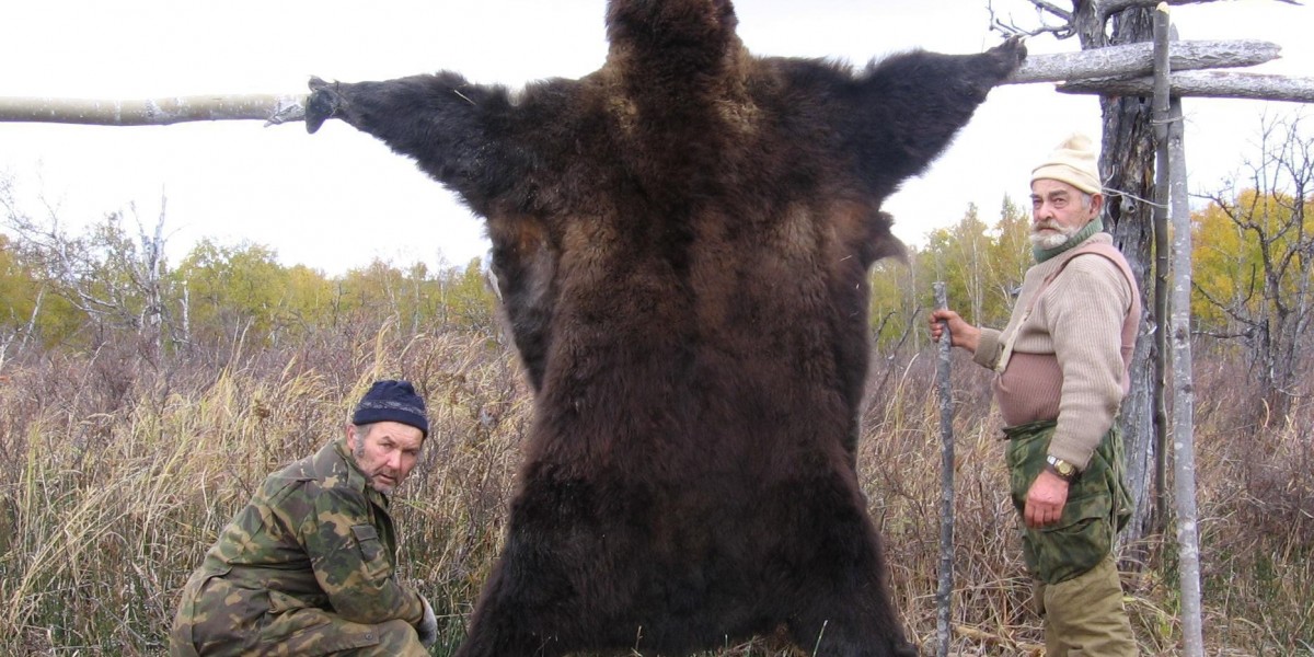 Охота на Чукотского лося и Камчатского бурого медведя на Камчатке
